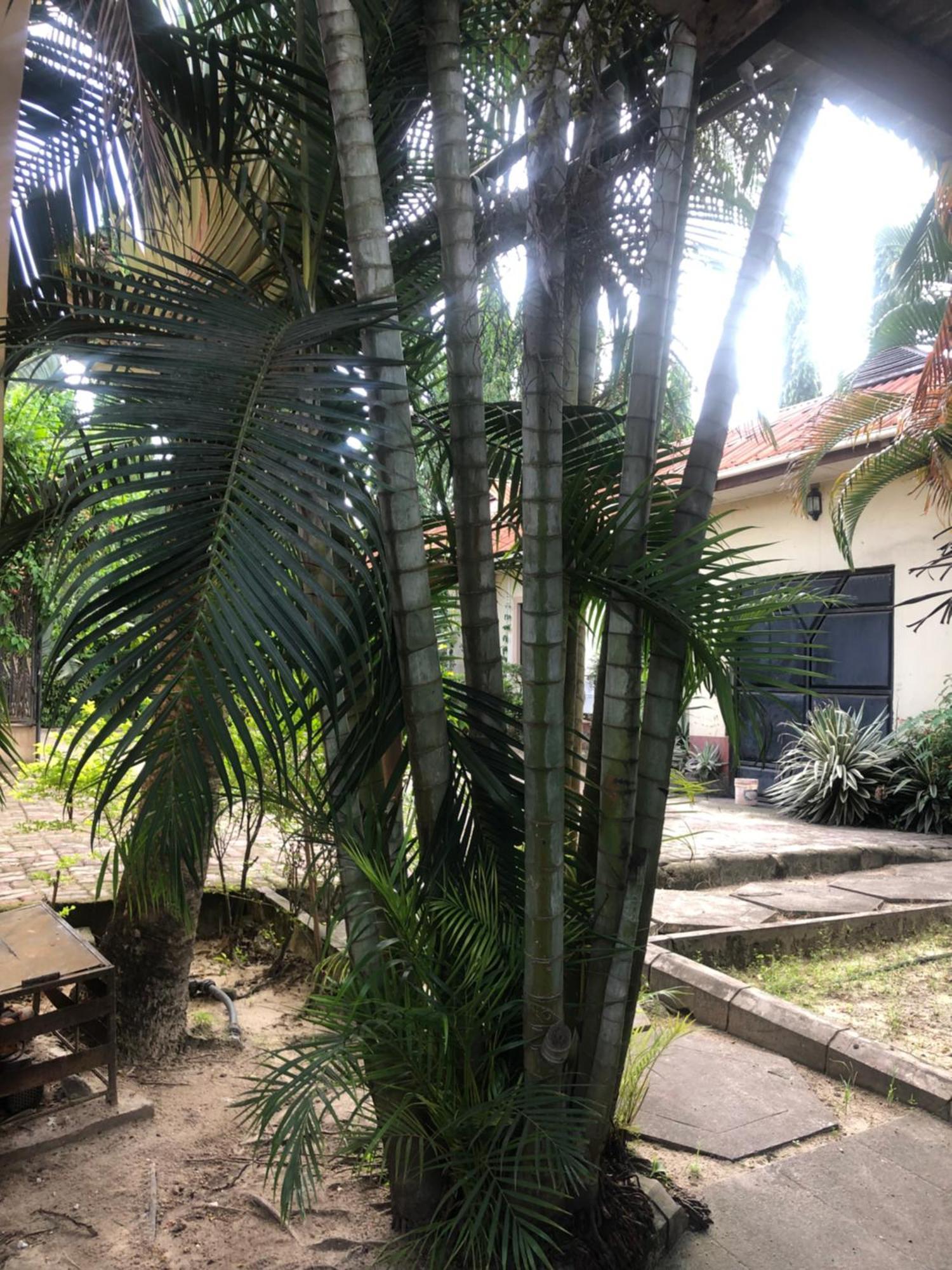 Tatys Homestay Dar es Salaam Exteriér fotografie